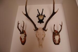 Landhaus-Appartements Warraich