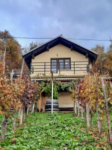 Vineyard cottage Kulovec