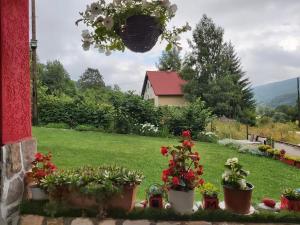 Villa Jelena Mavrovo