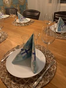 Villa Närhi 230 m2 upea talo rauhallisella alueella