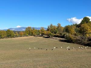 Maisons de vacances Holiday home Verdon with private pool and view : photos des chambres