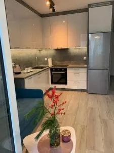 Apartament - Brzeska For You - 波尔科维采