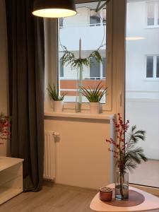 Apartament - Brzeska For You