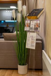 Apartment Papillon 4