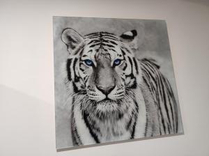 Eye of the Tiger. Apartament w centrum Mrągowa.