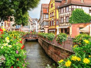 Appartements Magnifique Gite Le Clos des pierres Route des Vins d'Alsace : photos des chambres