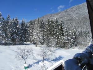 Apartments and Rooms Milena