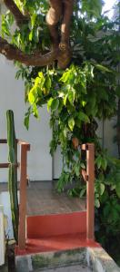 Estudio zona centro cerca de la terminal ADO