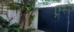 Estudio zona centro cerca de la terminal ADO