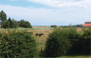 Awesome Home In Hadsund With Sauna