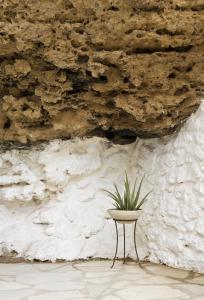 Cuevas del Pino Turismo Rural y Emocional SL