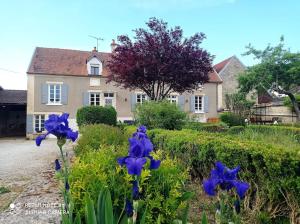 La Maison de Jules et Adèle