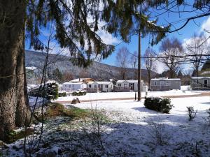 Campings Camping Les Granges Bas - Mobilhomes - Tiny House : photos des chambres