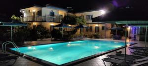 Blue White Apartments - Kefallonia Poolside Retreats