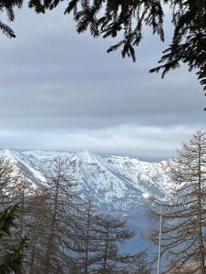 Appartements Grand beau studio Valberg plein centre 5 couchages parking et casier a skis : photos des chambres