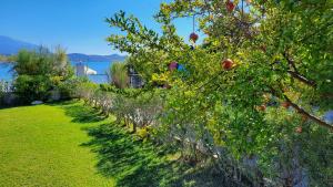 Alekos Beach Houses-Alekos Beach Complex