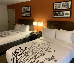 Standard Double Room with Two Double Beds - Non-Smoking room in Sleep Inn Phoenix North I-17