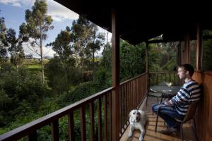 Hosteria Papagayo Cotopaxi