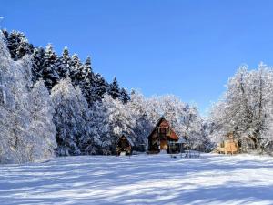 Cottage Tsivtskala in Racha, near Shaori