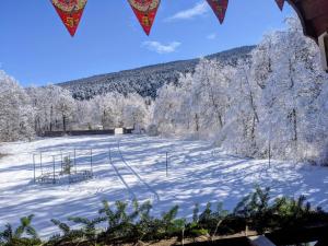 Cottage Tsivtskala in Racha, near Shaori