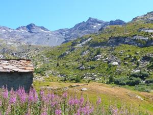 Appartements Orelle Val Thorens Appartement 2 pieces 5 personnes : photos des chambres