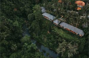 Bedulu Cliff Estate Ubud - Tree Top