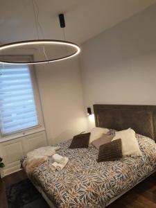 Appartements Hote Stephanois Studio & parking : photos des chambres