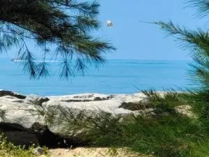 HIS GRACE CAMPING Near MALPE BEACH - Malpe