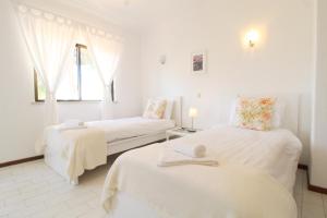 T2 Holiday Cottage near the beach C225