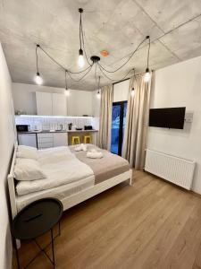 Mountpeak-Studio #4B