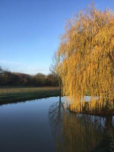 Maisons de vacances Spacious country house in Normandie : photos des chambres