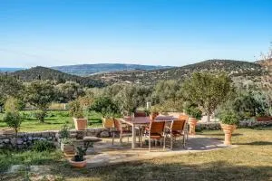 Zoi studio - Dhavgáta