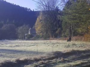 Vosges house 110 m2 in the heart of nature Lorée du bois