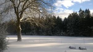 Vosges house 110 m2 in the heart of nature Lorée du bois