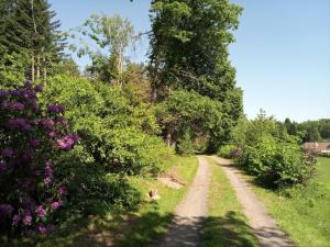 Maisons de vacances Vosges house 110 m2 in the heart of nature L'oree du bois : photos des chambres
