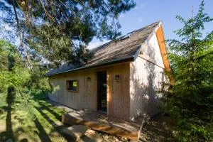 Sen Sosen - czarujący dom z sauną, basenem i stodołą - Barwałd Dolny