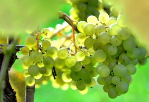 Gisebo Vingård - 3hvězdičkové hotely ve městě Huskvarna