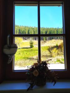 Apartmány u Ivanky, Polanský dvůr 1149