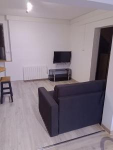 Appartements La petite suisse 1 : photos des chambres