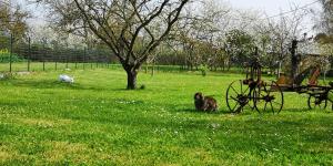 Sejours chez l'habitant la Ferme du Grand Bois : photos des chambres