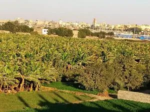 Lucky House - El Bi‘îrât