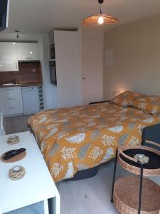 Appartements Studio Canape convertible 2 pers avec jardin et parking clos : photos des chambres