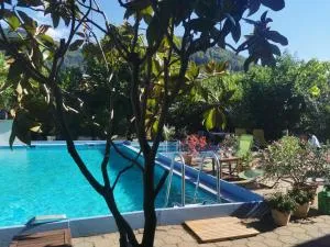 Ferienwohnung Vogelsang im Schwarzwald - Untermünstertal