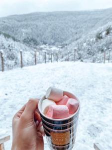 Cozy Cottage Feel Free continental