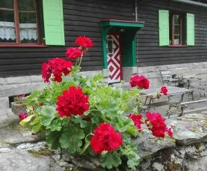 Dom Pod Ptasznicą - Krzyżanów