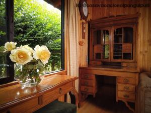 Cabaña Familiar Panguipulli