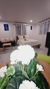 Appartement lumineux avec parking