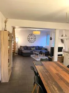 Duplex moderne à 10 minutes de Colmar - 万泽内姆