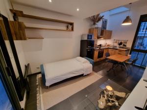 Appartements Loft avec grande terrasse et parking, proche Lyon Cite Internationale : photos des chambres