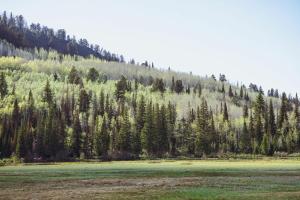 Powder Hound 1 Bedroom Brighton Chalet